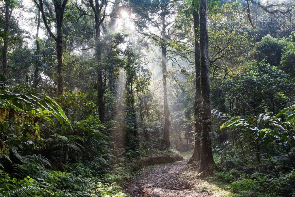 misteri-gunung-salak-yang-memili-20211119062656