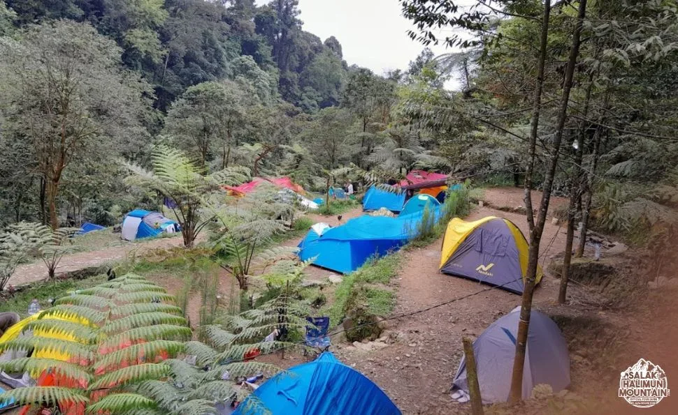 Camping at Lembah Tepus