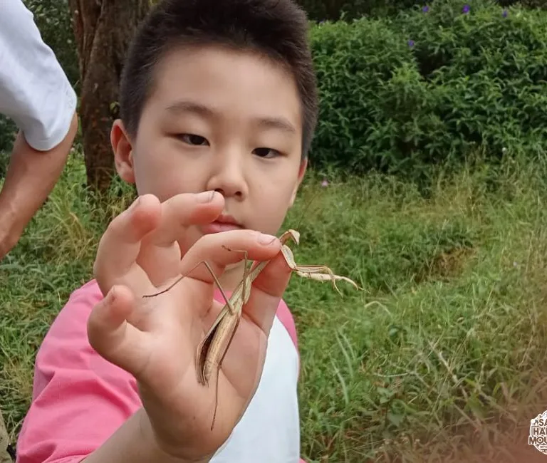 What to Expect on Your One-Day Insect Tour