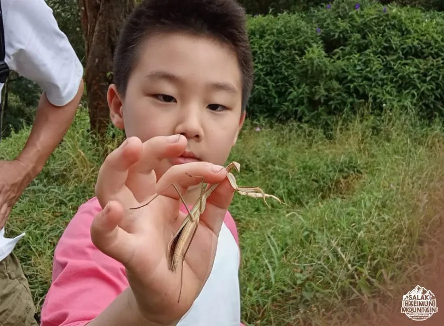What to Expect on Your One-Day Insect Tour