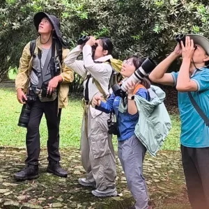 One Day Birdwatching Adventure