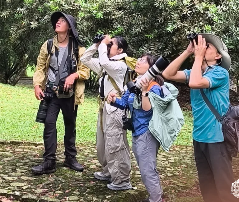 One Day Birdwatching Adventure at Mount Salak