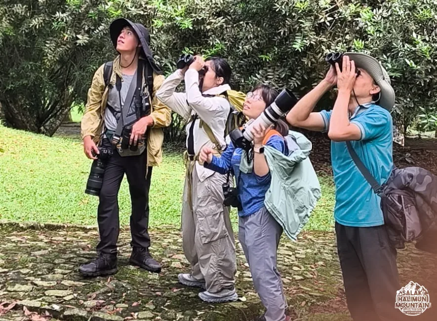 One Day Birdwatching Adventure at Mount Salak