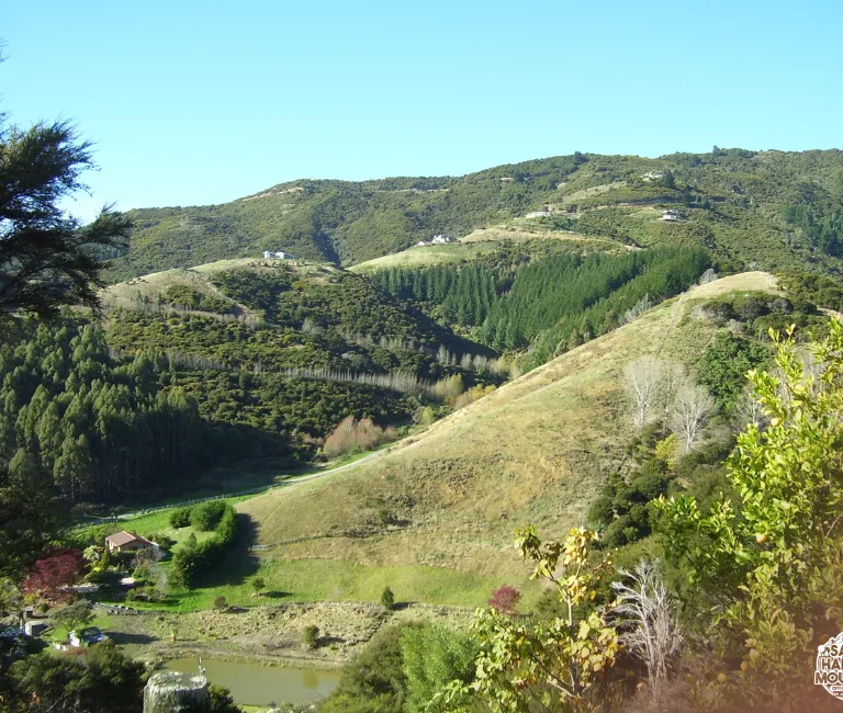 How Mountains Shape Microclimates in Bogor