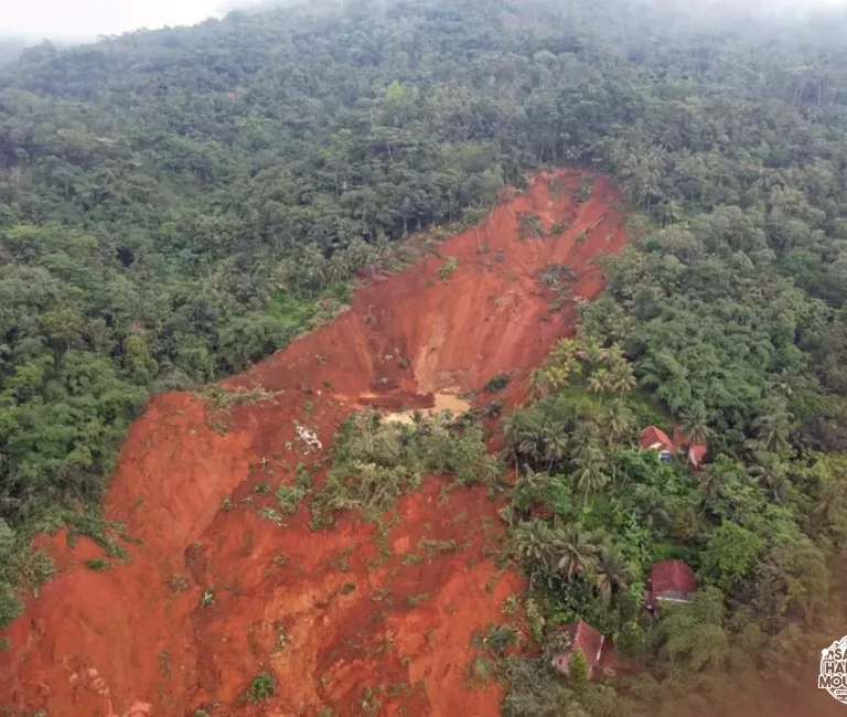 Why Landslides Happen in Mountain Rainforests