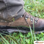 Managing Fear of Insects on Halimun Expeditions